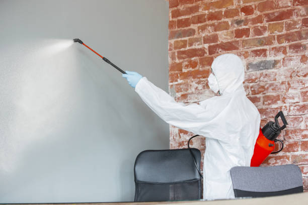 Mold Documentation for Insurance Claims in Williamsburg, PA
